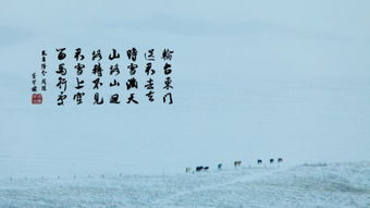 關(guān)于景物的古詩(shī)句,描寫(xiě)景物的古詩(shī)句,夏季景物的古詩(shī)句