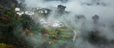 詩(shī)情,古詩(shī),詩(shī)句,田園