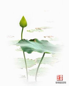 關(guān)于自尊平等的詩(shī)句