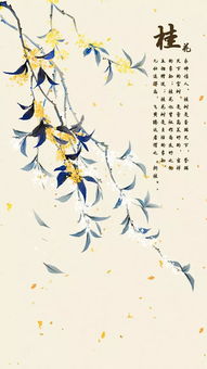 古代詩(shī)詞中關(guān)于花的詩(shī)句