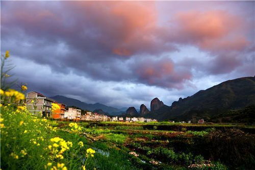 愛(ài)家鄉的的古詩(shī)詩(shī)句