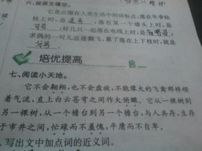 運用對比手法的古詩(shī)句有哪些,運用了對比手法的古詩(shī)句子,運用對比手法的寫(xiě)景古詩(shī)