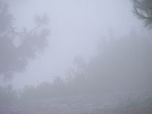 關(guān)于寫(xiě)霧的詩(shī)句