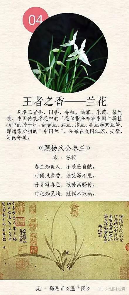 古詩(shī)中含花的詩(shī)句,古詩(shī)中的花詩(shī)句有哪些,花的詩(shī)句古詩(shī)