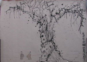 樹(shù)的詩(shī)句古詩(shī),描寫(xiě)樹(shù)的詩(shī)句古詩(shī),樹(shù)開(kāi)頭的詩(shī)句古詩(shī)