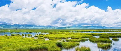 關(guān)于黎明的詩(shī)句句子迷