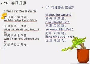 古詩(shī),詩(shī)句,帶有,小學(xué)