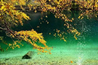 古詩(shī),詩(shī)句,紅葉,開(kāi)頭