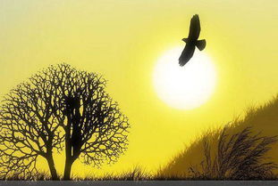 寫(xiě)歲月靜好的古詩(shī)句