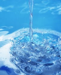 波紋,詩(shī)句,水中