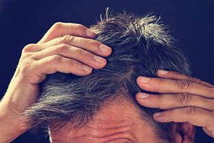 關(guān)于操勞出白頭發(fā)的詩(shī)句