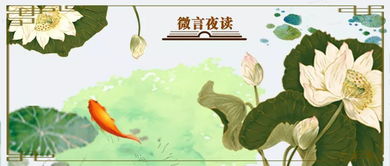 古詩(shī),詩(shī)句,飛鳥(niǎo),描寫(xiě)