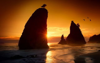 關(guān)于成熟與孤單的詩(shī)句