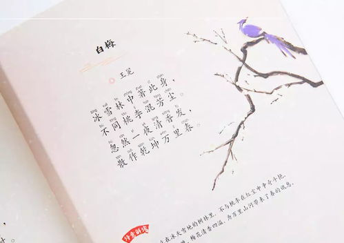古詩(shī)詞中有紅字的詩(shī)句