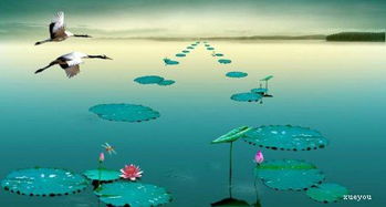 關(guān)于音樂(lè )優(yōu)美的詩(shī)句