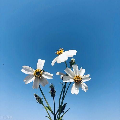 朗誦古詩(shī)句勵志向上