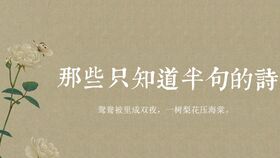 詩(shī)句,內涵,優(yōu)美