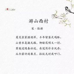 積極努力的人生態(tài)度的詩(shī)句,樂(lè )觀(guān)積極的人生態(tài)度的詩(shī)句,表達積極人生態(tài)度的詩(shī)句