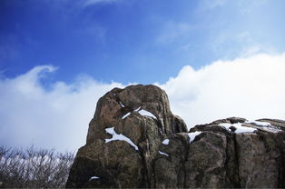 山東關(guān)于山的詩(shī)句