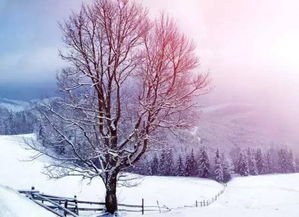 形容大自然美景的古詩(shī)句,形容秋天美景的古詩(shī)句,形容冬天美景的古詩(shī)句