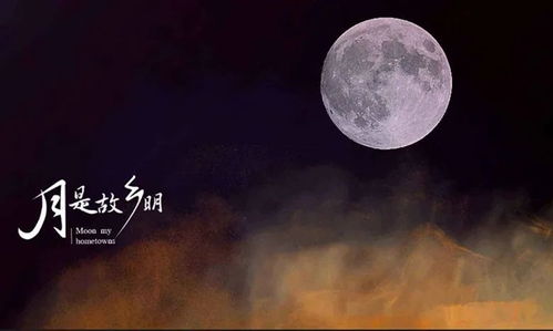 古詩(shī)詞,詩(shī)句,月光