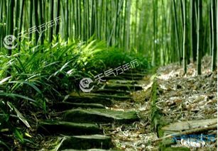 描寫(xiě)小暑的古詩(shī)句