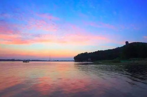 用古詩(shī)句來(lái)描寫(xiě)柳樹(shù)