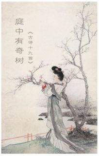 古詩(shī)詞中帶有樹(shù)的詩(shī)句