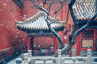 關(guān)于諷刺故宮開(kāi)車(chē)詩(shī)句