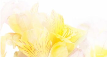 關(guān)于春天的好句詩(shī)句