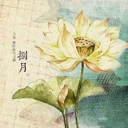 西風(fēng)是關(guān)于什么的詩(shī)句