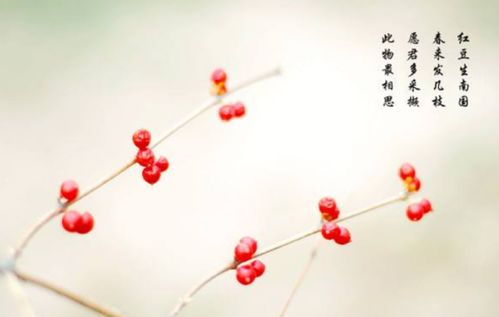 關(guān)于春天來(lái)了的詩(shī)句