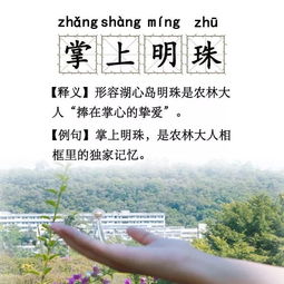 關(guān)于父母疼愛(ài)女兒詩(shī)句