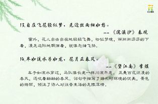 古詩(shī)中含有比喻的詩(shī)句