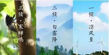 關(guān)于立秋喝酒的詩(shī)句