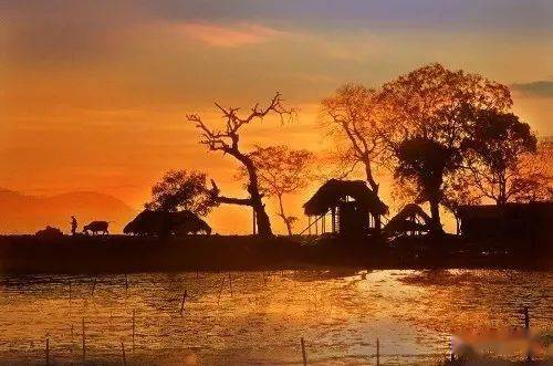 寫(xiě)一句表達思鄉情感的古詩(shī)句