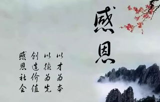 關(guān)于表達感恩的詩(shī)句