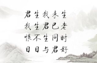 關(guān)于有緣無(wú)分的詩(shī)句