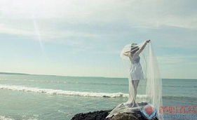 孤星的詩(shī)句古詩(shī)