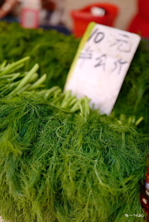 歌頌大自然的古詩(shī)句