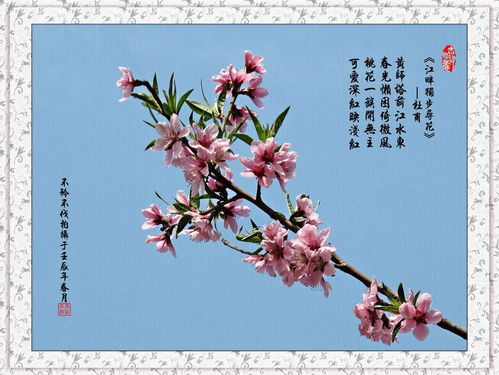 古詩(shī)配畫(huà)桃花的詩(shī)句