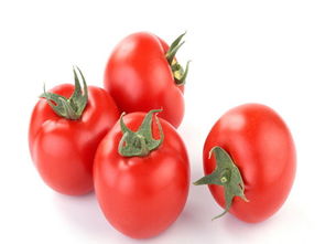 關(guān)于西紅柿的現代詩(shī)句