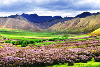 關(guān)于描寫(xiě)怒江的詩(shī)句