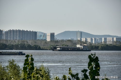 關(guān)于平視的詩(shī)句