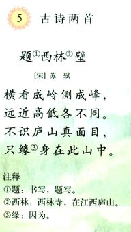 四級,古詩(shī),詩(shī)句