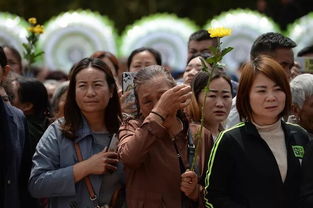關(guān)于雨酒杏花的詩(shī)句