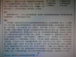 描寫(xiě)雪的詩(shī)句,描寫(xiě)雪的優(yōu)美古詩(shī)句,描寫(xiě)雪的古詩(shī)句有哪些