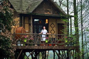 小院,山村,詩(shī)句,形容