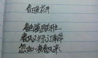 詩(shī)句,成語(yǔ),時(shí)間