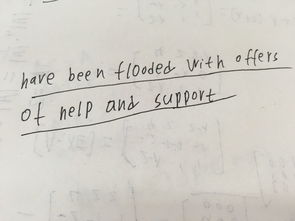 古詩(shī)句翻譯成英文怪怪的